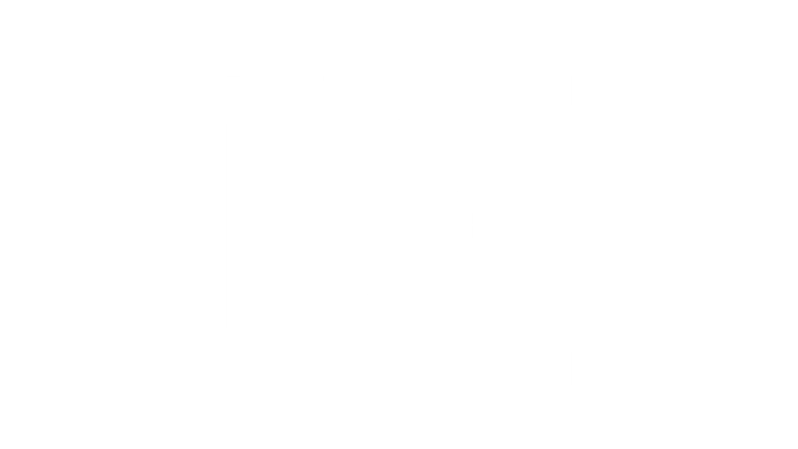 Nenifix N monogram